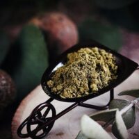 kratom ban and legalization